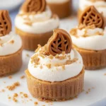 Mini Biscoff Cheesecakes