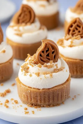 Mini Biscoff Cheesecakes