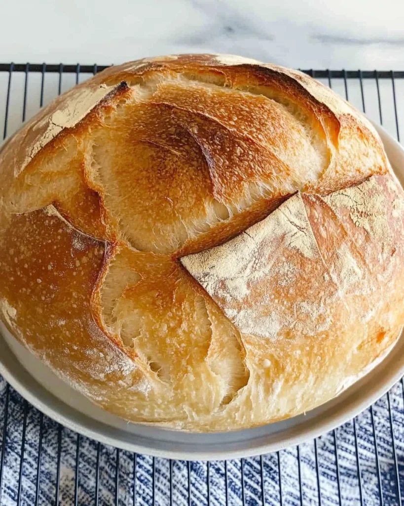 Speedy Same Day Sourdough Bread
